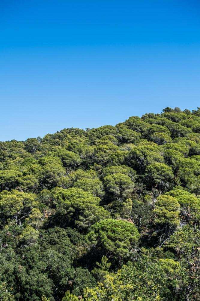 ホテルCamping Sunissim Cala Llevado 4 By Locatour トッサ・デ・マール エクステリア 写真