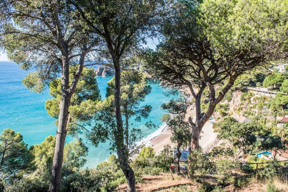 ホテルCamping Sunissim Cala Llevado 4 By Locatour トッサ・デ・マール エクステリア 写真